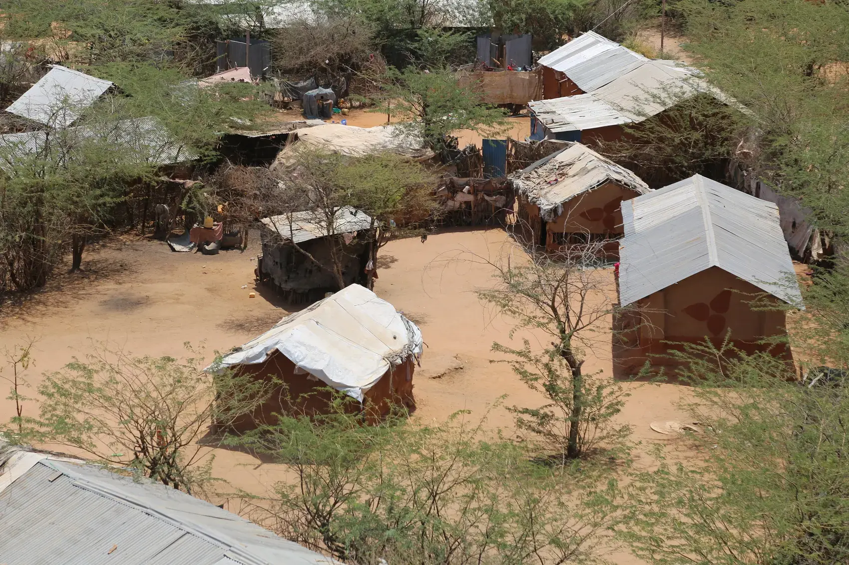 Shelters among trees in the Dadaab refugee camp, Kenya